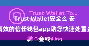 Trust Wallet安全么 安全高效的信任钱包app助您快速处置金钱