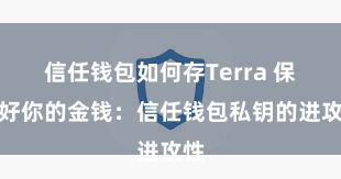 信任钱包如何存Terra 保护好你的金钱：信任钱包私钥的进攻性